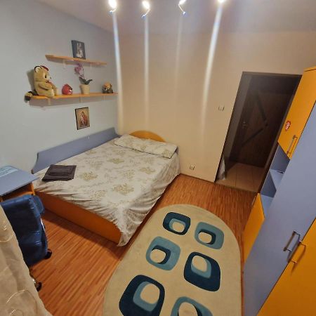 Apartament Victoria Apartment Târgu Jiu Екстериор снимка