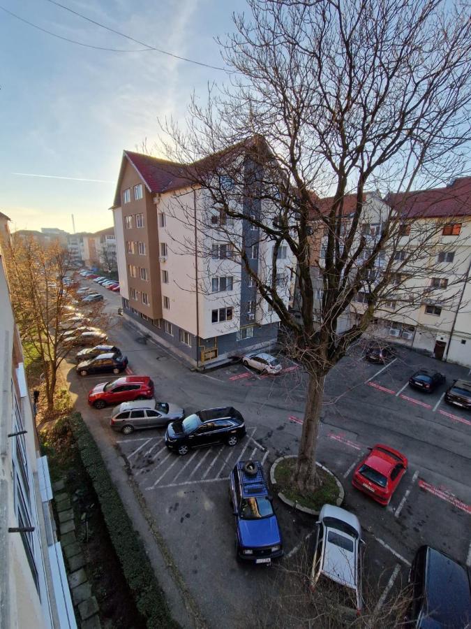 Apartament Victoria Apartment Târgu Jiu Екстериор снимка